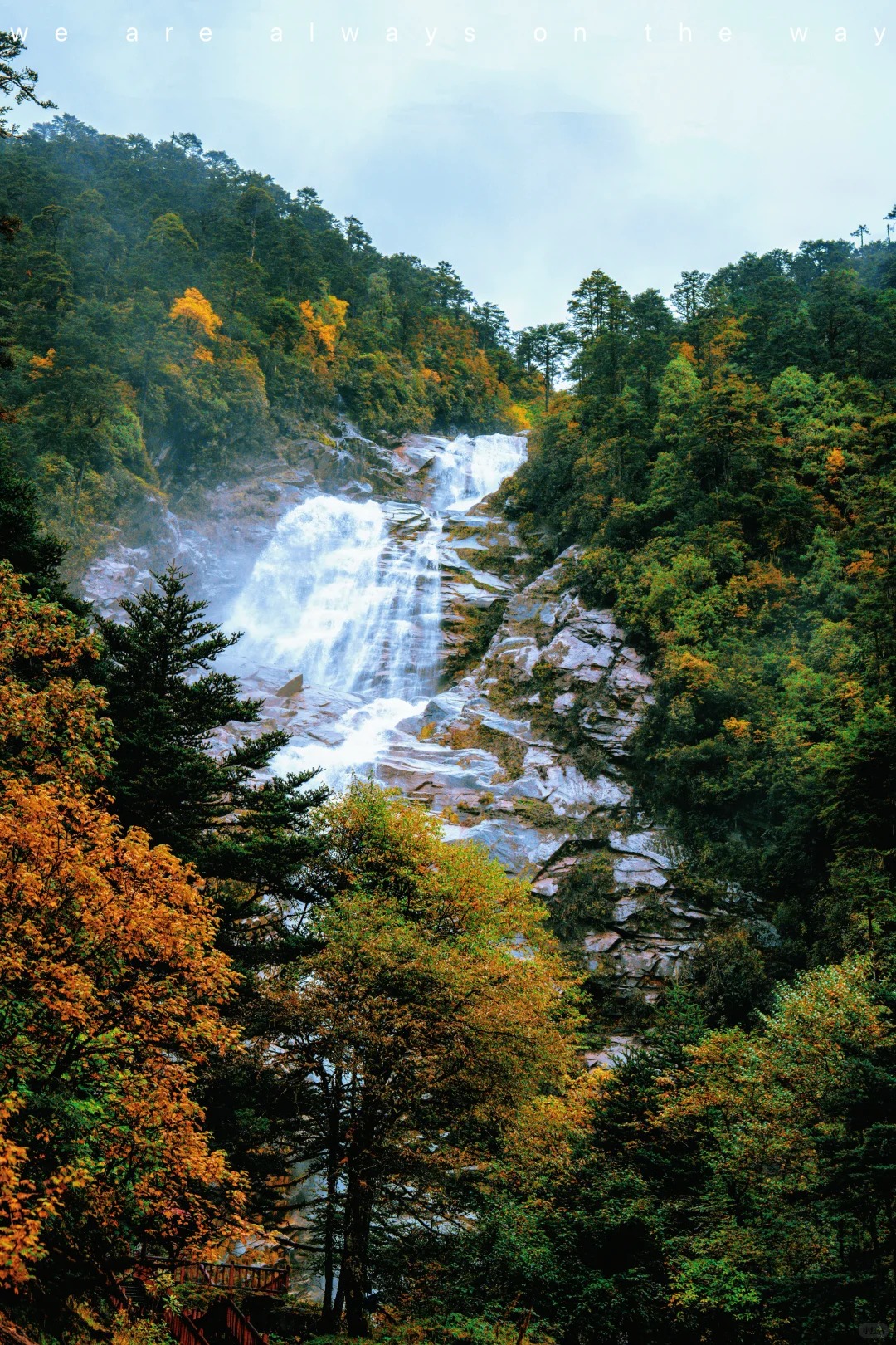 “我们一起去了墨脱”_5_贺贺-贺小唏_墨脱-来自52tours 我爱旅游网